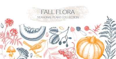 Hand-drawn autumn background. Fall leaves, pumpkins, berries, mushrooms sketches. Vintage botanical banner design. Vector illustration NOT AI generated